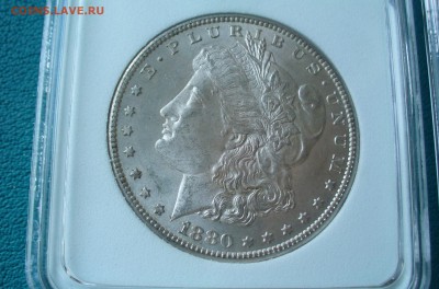 США - Морган: 1880г. 1904г. 1897г. на оценку. - P1100848.JPG