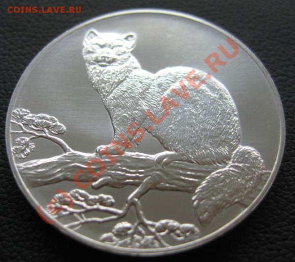 3 рубля 1995г  Соболь сер. 31.1гр. до 02.04.2010 в 21.00мск - IMG_7056.JPG