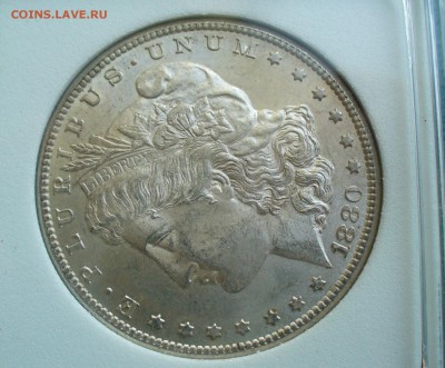 США - Морган: 1880г. 1904г. 1897г. на оценку. - P1100865.JPG