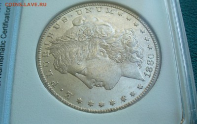 США - Морган: 1880г. 1904г. 1897г. на оценку. - P1100864.JPG