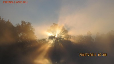 делает - прямо сейчас !!! - IMG_9402