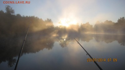 делает - прямо сейчас !!! - IMG_9409
