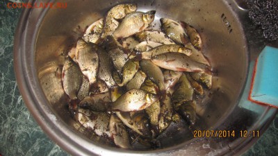 делает - прямо сейчас !!! - IMG_9460