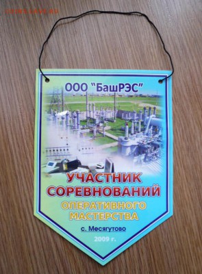 Вымпелы по теме"Энергетика"2шт.до 22.07.14 22-00МСК - P1090488.JPG
