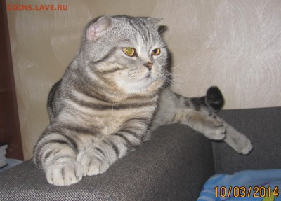 делает - прямо сейчас !!! - IMG_8153