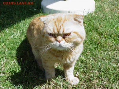 делает - прямо сейчас !!! - DSC07819.JPG