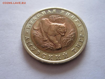 10 рублей Амурский тигр 1992 22.07 22:00 - IMG_2213.JPG
