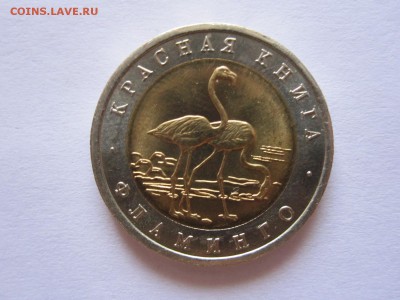 50 рублей Фламинго 1994 22.07 22:05 - IMG_2306.JPG