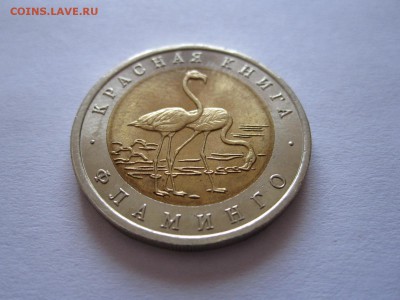50 рублей Фламинго 1994 22.07 22:05 - IMG_2304.JPG