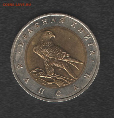 КК Сапсан до 22.07.14г в 21.00 по МСК - Изображение
