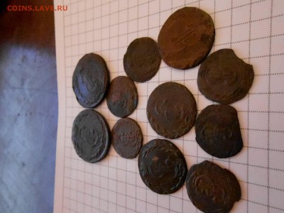 Лот Сибири - DSCN0760.JPG