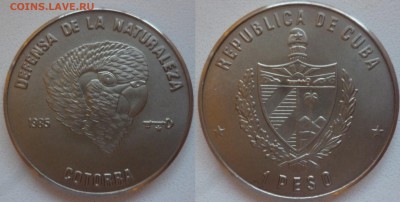 ДК Куба 1 песо Попугай 28.07 22.00 - P1080716.JPG