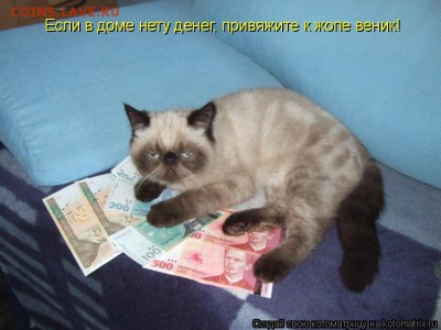 юмор - 333635