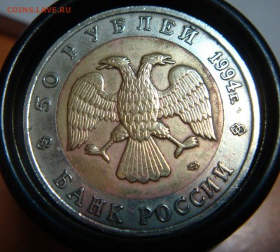 КК "Фламинго" 50 рублей .1994г  -   недолгий! ТРИ ДНЯ! - DSC09849.JPG