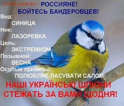 Ну а теперь про Украину - image (2)