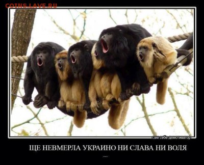 Ну а теперь про Украину - 10458724_732498626806151_8419059686438218816_n