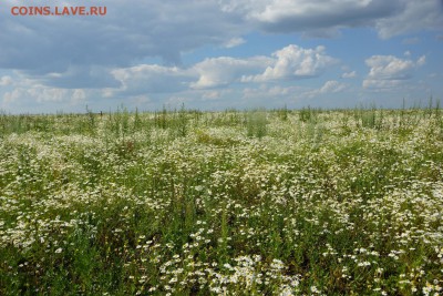 ФОТО - просто фото. Те что получились удачными. - DSC03226_thumb