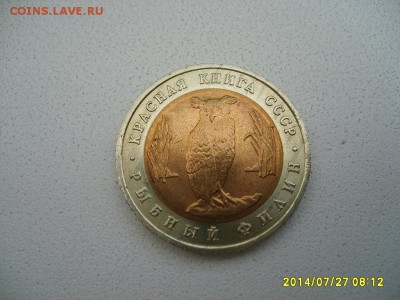 СССР,5 рублей 1991г(Красная Книга,Рыбный филин)!до29.07.2014 - S6001138.JPG