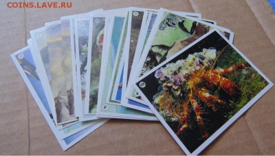 Наклейки альбомов PANINI Мир Животных,EDIS Мир живого(1996г) - 04