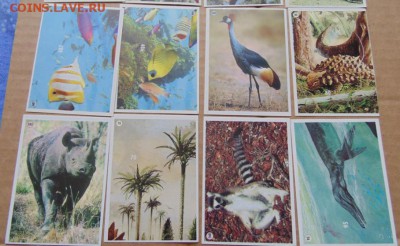Наклейки альбомов PANINI Мир Животных,EDIS Мир живого(1996г) - 03