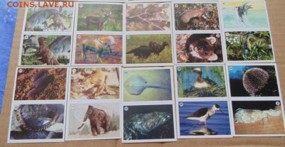 Наклейки альбомов PANINI Мир Животных,EDIS Мир живого(1996г) - 02