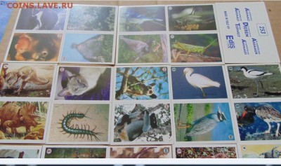 Наклейки альбомов PANINI Мир Животных,EDIS Мир живого(1996г) - 01
