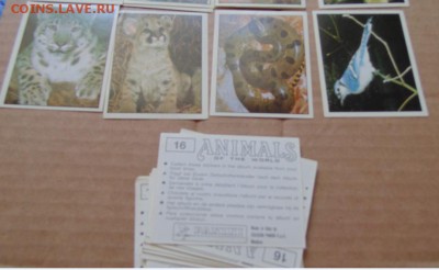 Наклейки альбомов PANINI Мир Животных,EDIS Мир живого(1996г) - 05