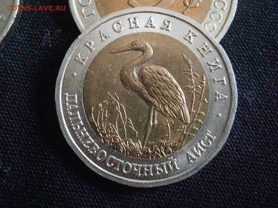 КК 1993 г. Аист раскол до 30.07.14г в 22.00 по МСК - P7270014.JPG