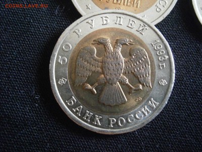 КК 1993 г. медведь до 29.07.14г в 22.00 по МСК - P7270011.JPG
