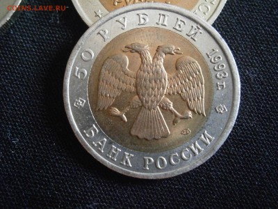 КК 1993 г. зублефар до 29.07.14г в 22.00 по МСК - P7270013.JPG