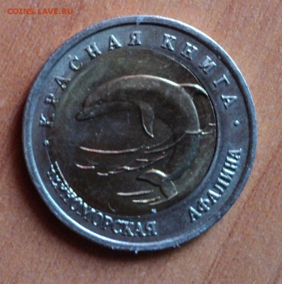КК. Черноморская афалина смещение. На оценку. - DSC00780.JPG