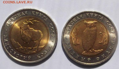 Красная книга 1991 отличная,блеск! до 31 07 23-00 мск - DSCF2666