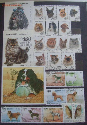 Марки футбол, корабли, космос, машины, кошки и др. на оценку - Кошки и собаки-1.JPG