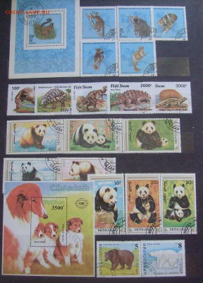 Марки футбол, корабли, космос, машины, кошки и др. на оценку - Живность-1.JPG