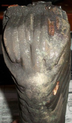 Окаменевшая кость? - 100_0248.JPG