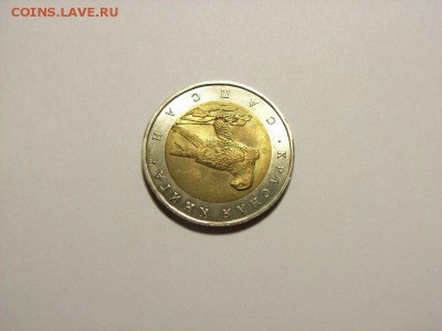 50 рублей 1994г Красная книга(Сапсан) до 03.08.14 (22.00) - RIMG0180 [800x600]
