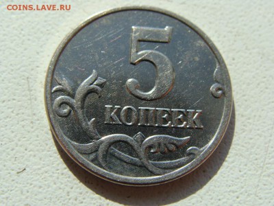 б - DSC05882.JPG