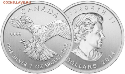 СЕРЕБРО НОВИНКИ 2014 г. УНЦОВКИ НАБОРЫ ДЕШЕВО!!! - Canada 2014 Falcon