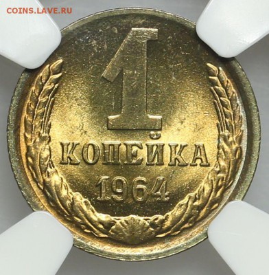 1 копейка 1964 NGC MS66 люкс 31.07. - 23:00 (короткий) - QA1A7398.JPG