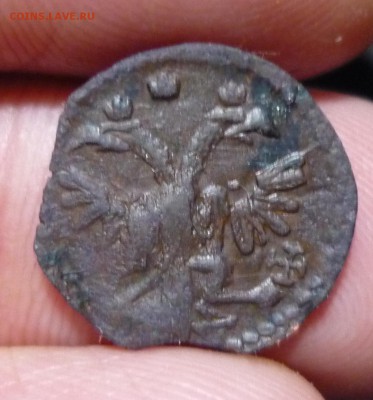 Полушка 1719 год буквами до 01.08 в 22,30 - P1130029.JPG