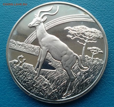 Сьерра-Леоне 1$ 2006 Антилопа, до 1.08.2014 22.00 МСК - 1$ 2006 Сьерра-Леоне Антилопа-1