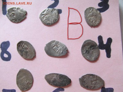 чешуйки 27 штук - B (Копировать).JPG
