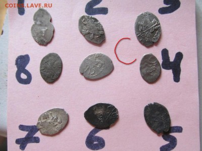 чешуйки 27 штук - C1 (Копировать).JPG