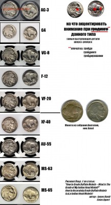 США 5 центов 1913 год оцените - Джон Большое Гнездо.JPG