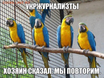 Ну а теперь про Украину - gxPahl2kNQ4