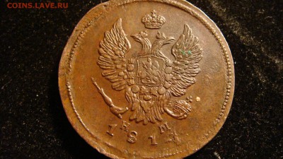 Консервация -чистка - DSC03301.JPG