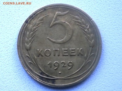 5 копеек 1929 г - P8010042.JPG