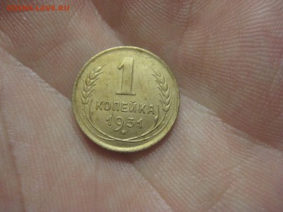 1 копейка 1931 Состояние!---------- 5.08.14, в 22.10 - IMG_3464.JPG
