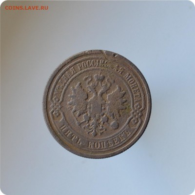 5 копеек 1881 год. - DSC_1341м.JPG