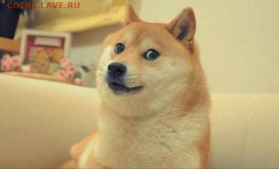 делает - прямо сейчас !!! - image
